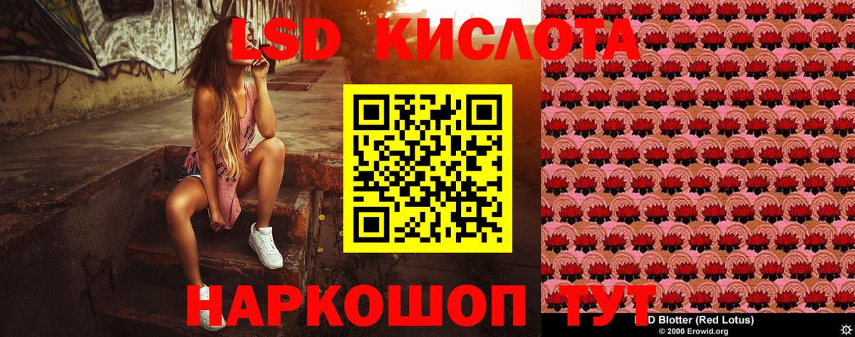 Наркотические марки  Вход с VPN  Бердск  Наркотические марки 1,8мг 